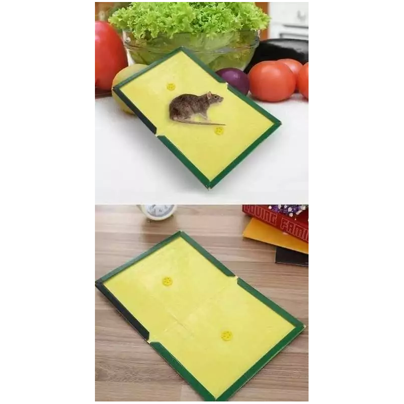 Лепкав капан за мишки и плъхове - 31х21 см.