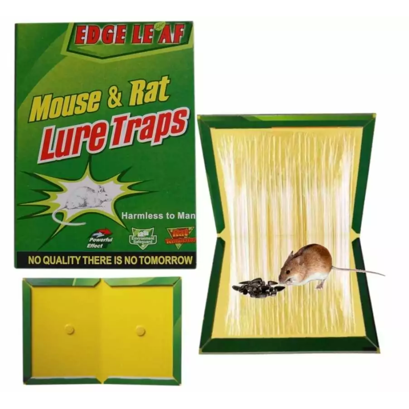 Лепкав капан за мишки и плъхове - 31х21 см.