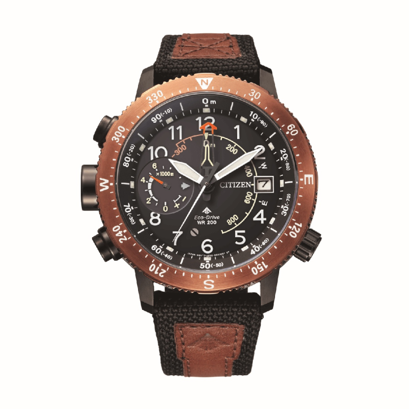 Часовник Citizen BN4049-11E