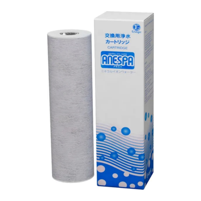 Филтър за Anespa DX Home SPA