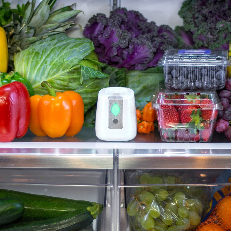 Пречиствател на въздуха във вашия хладилник