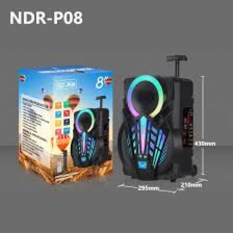 Караоке светеща тонколона NDR-P08 - 8 инча