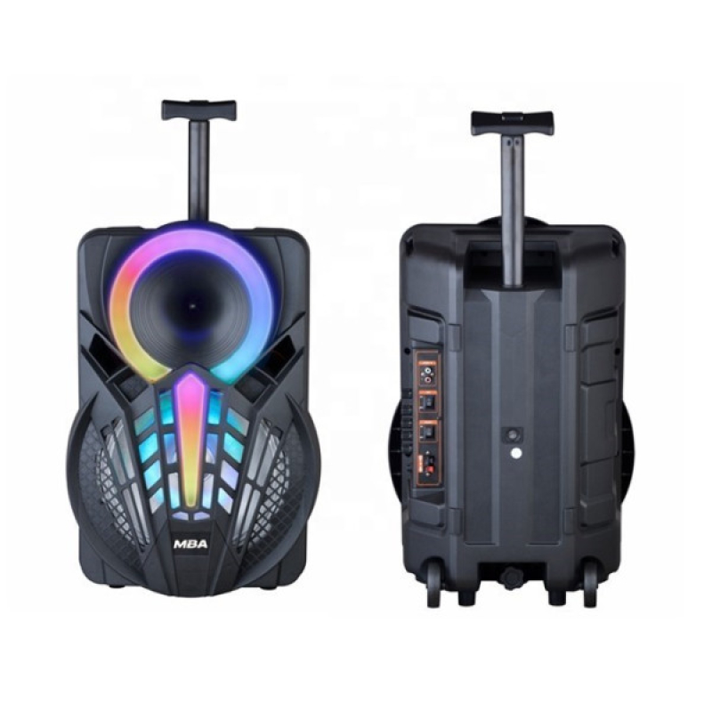 Караоке светеща тонколона NDR-P08 - 8 инча